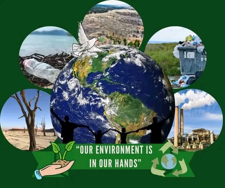 Environmental Law and Sustainable Development